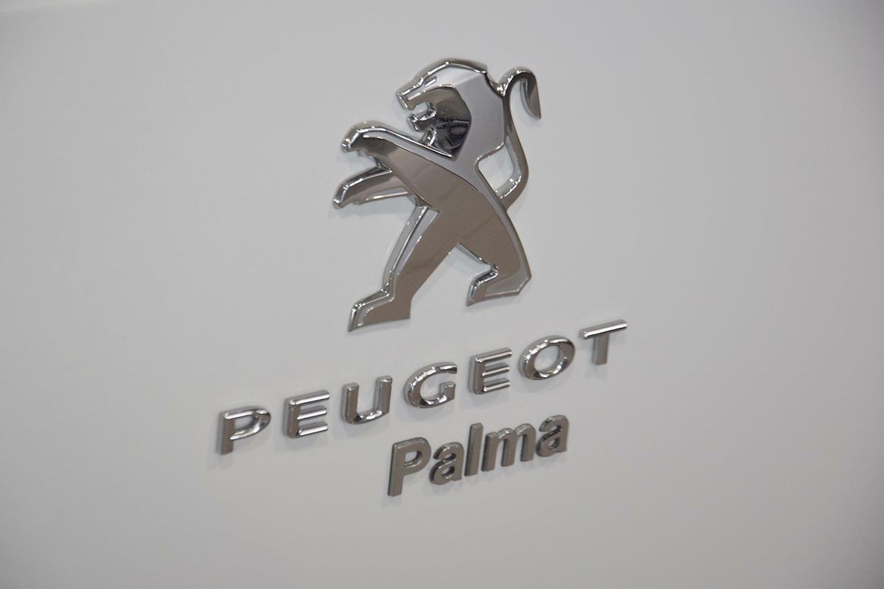 Foto Peugeot Partner 6