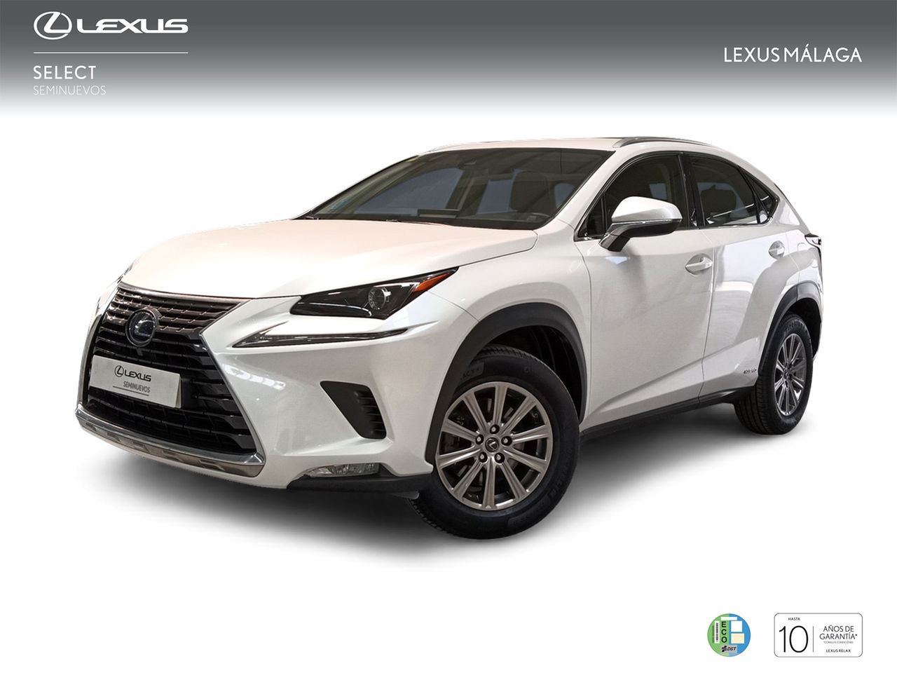 Foto Lexus NX 1