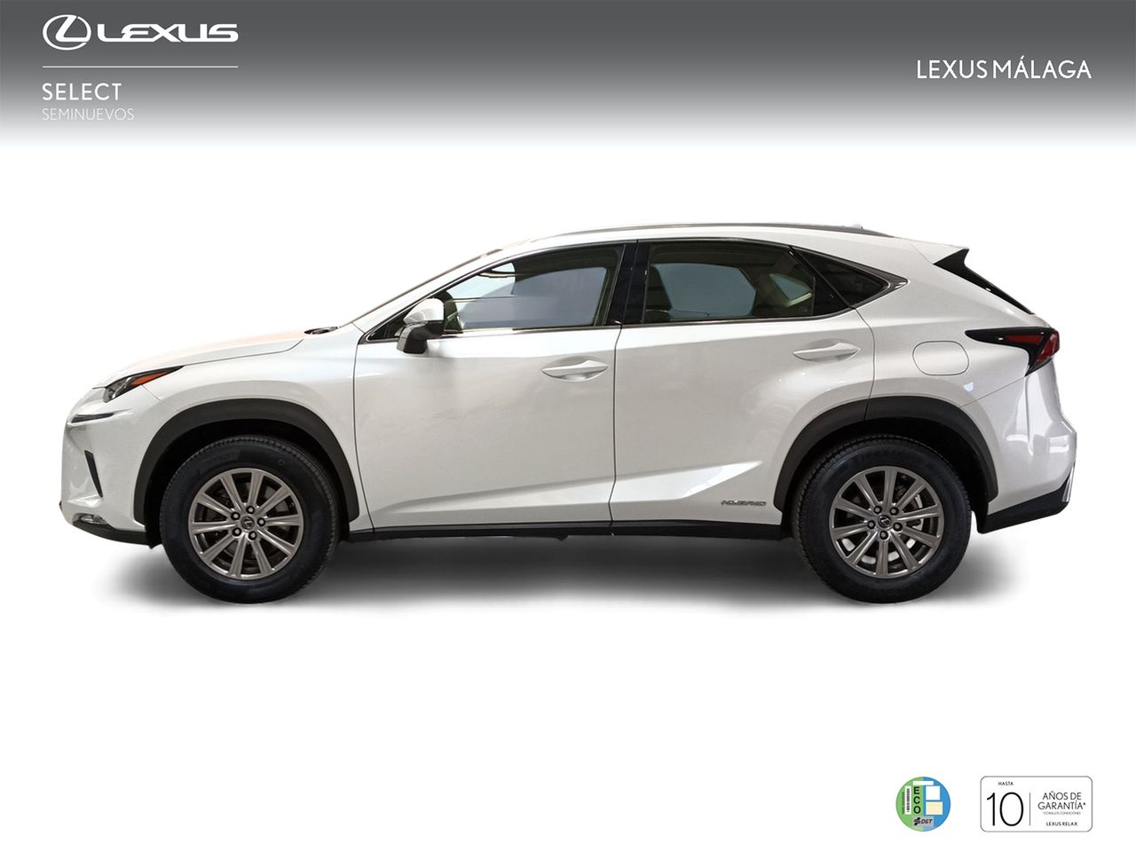 Foto Lexus NX 3