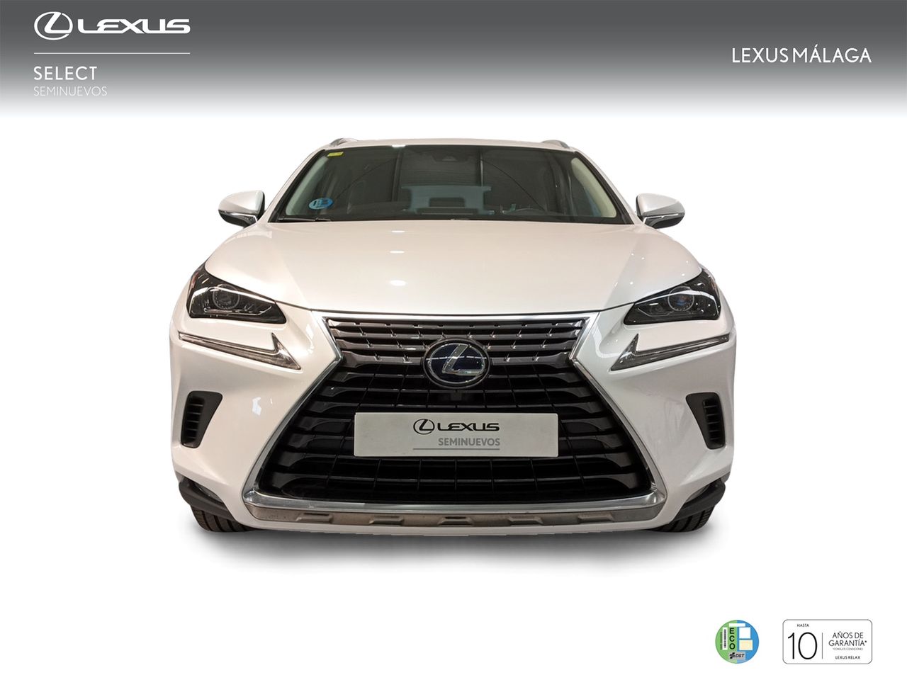 Foto Lexus NX 5