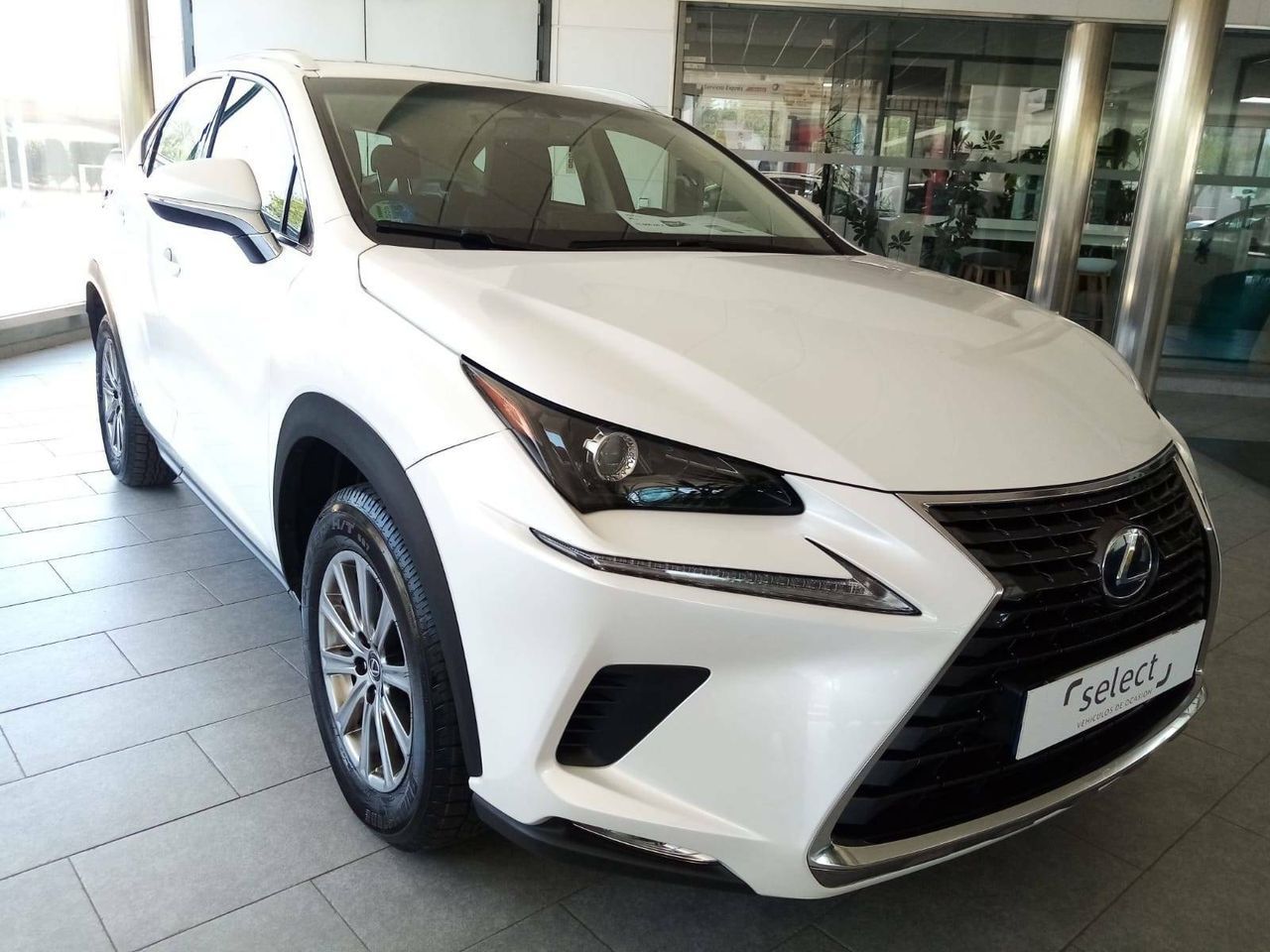 Foto Lexus NX 1