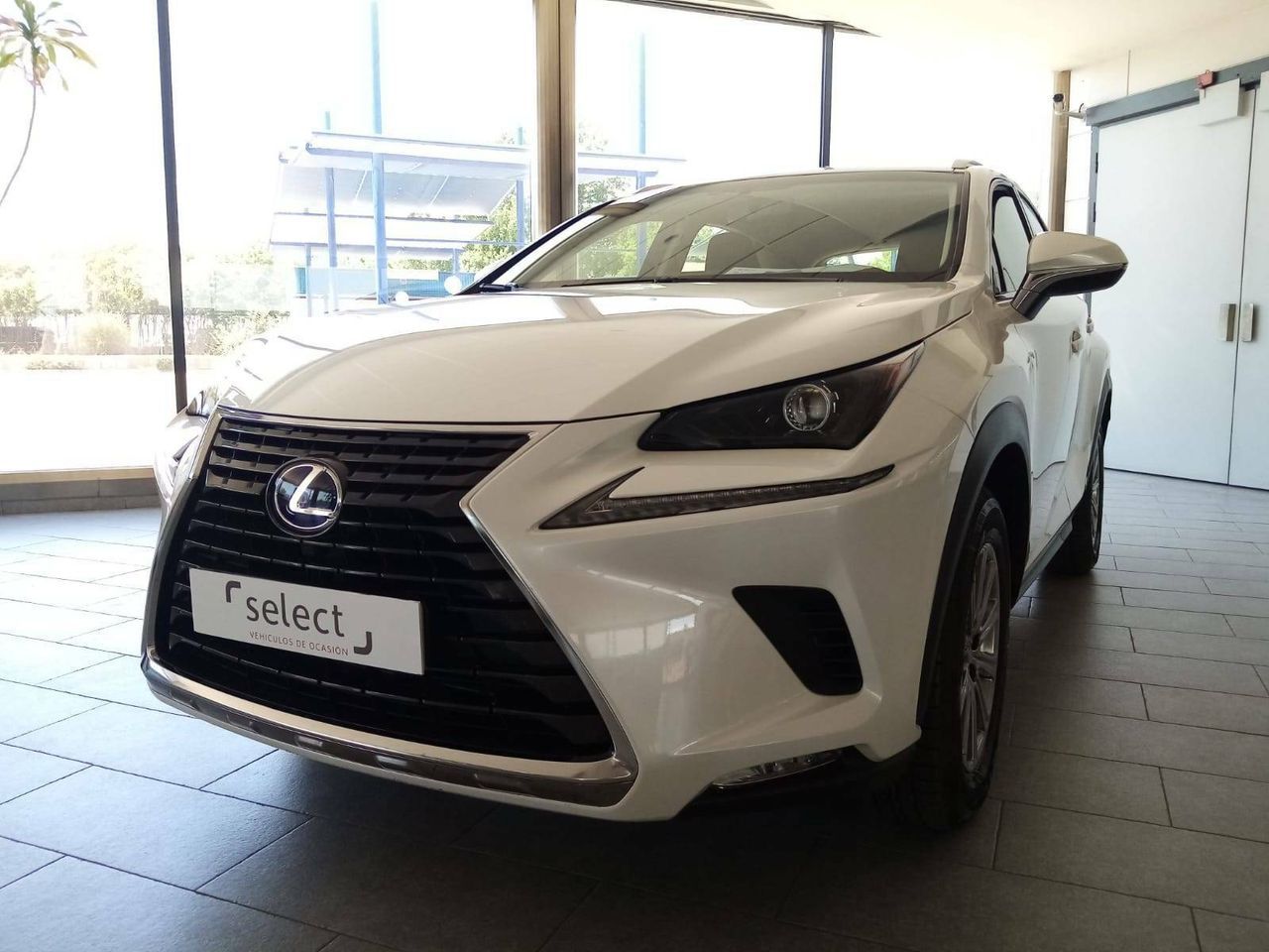 Foto Lexus NX 3