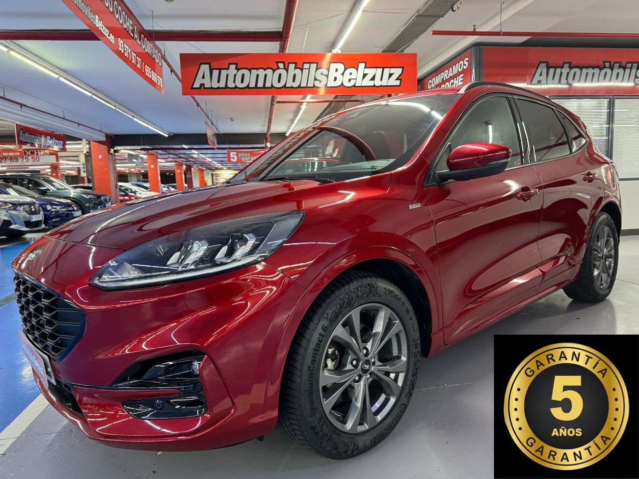 Foto Ford Kuga 1