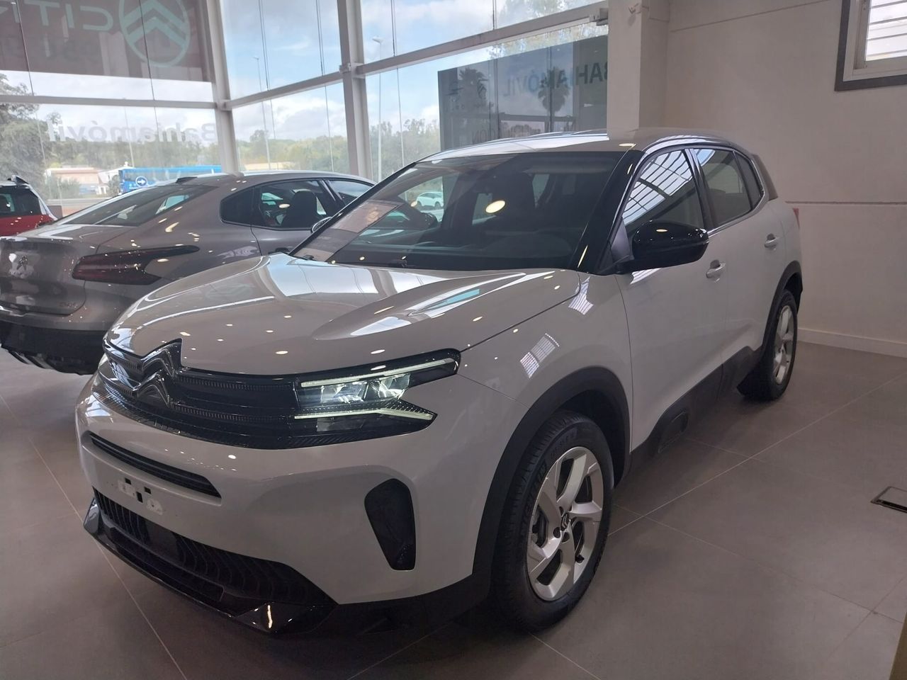 Foto Citroën C5 Aircross 1