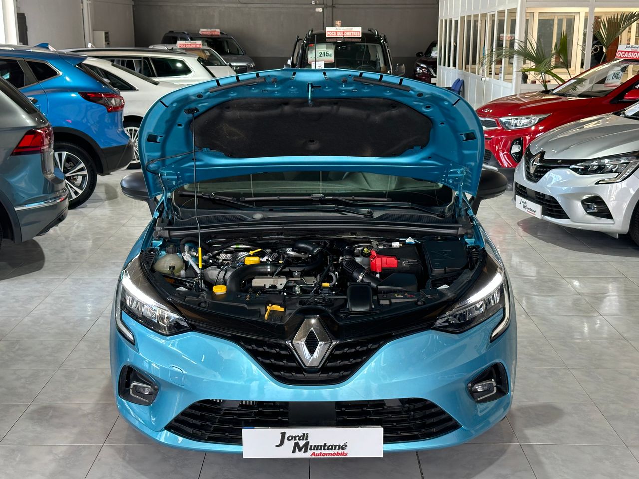 Foto Renault Clio 41