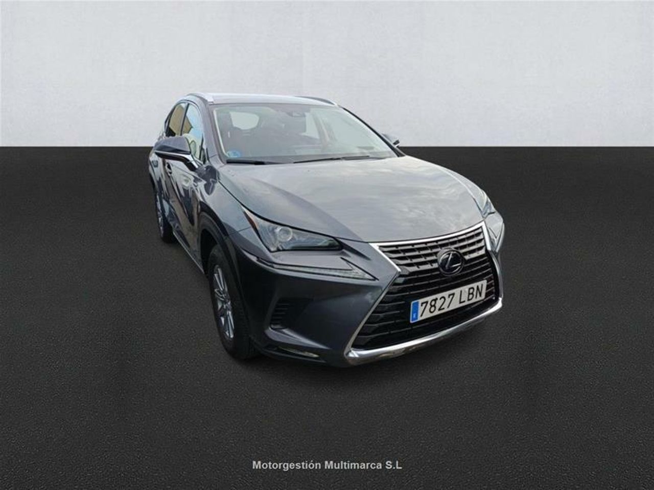 Foto Lexus NX 3