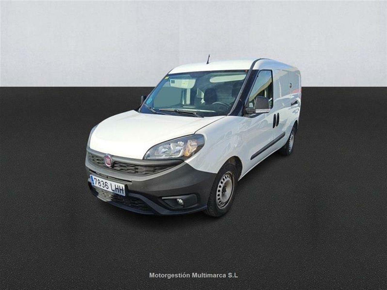 Foto Fiat Doblo Cargo 1