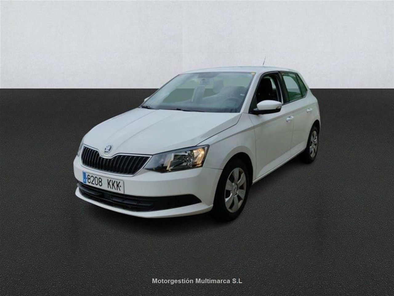 Foto Skoda Fabia 1