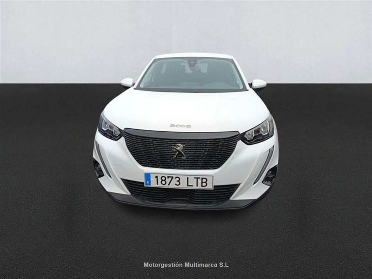 Foto Peugeot 2008 2