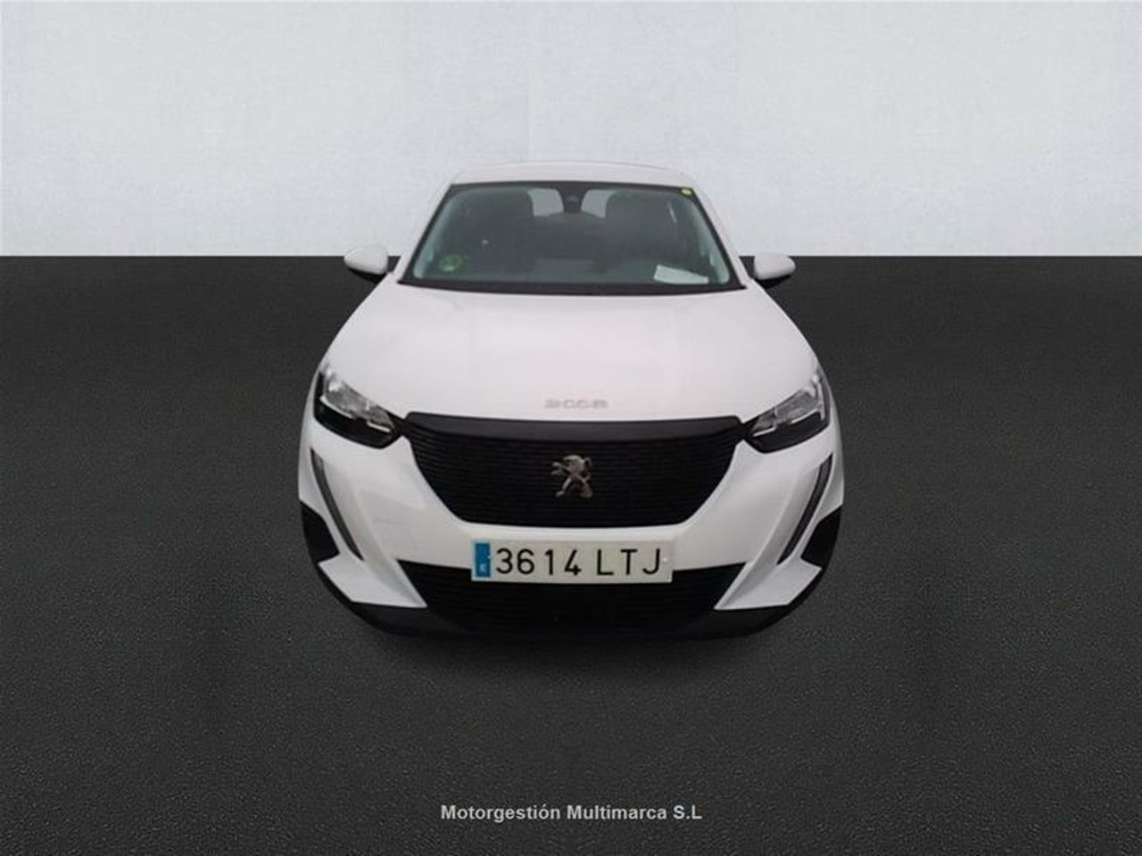 Foto Peugeot 2008 2