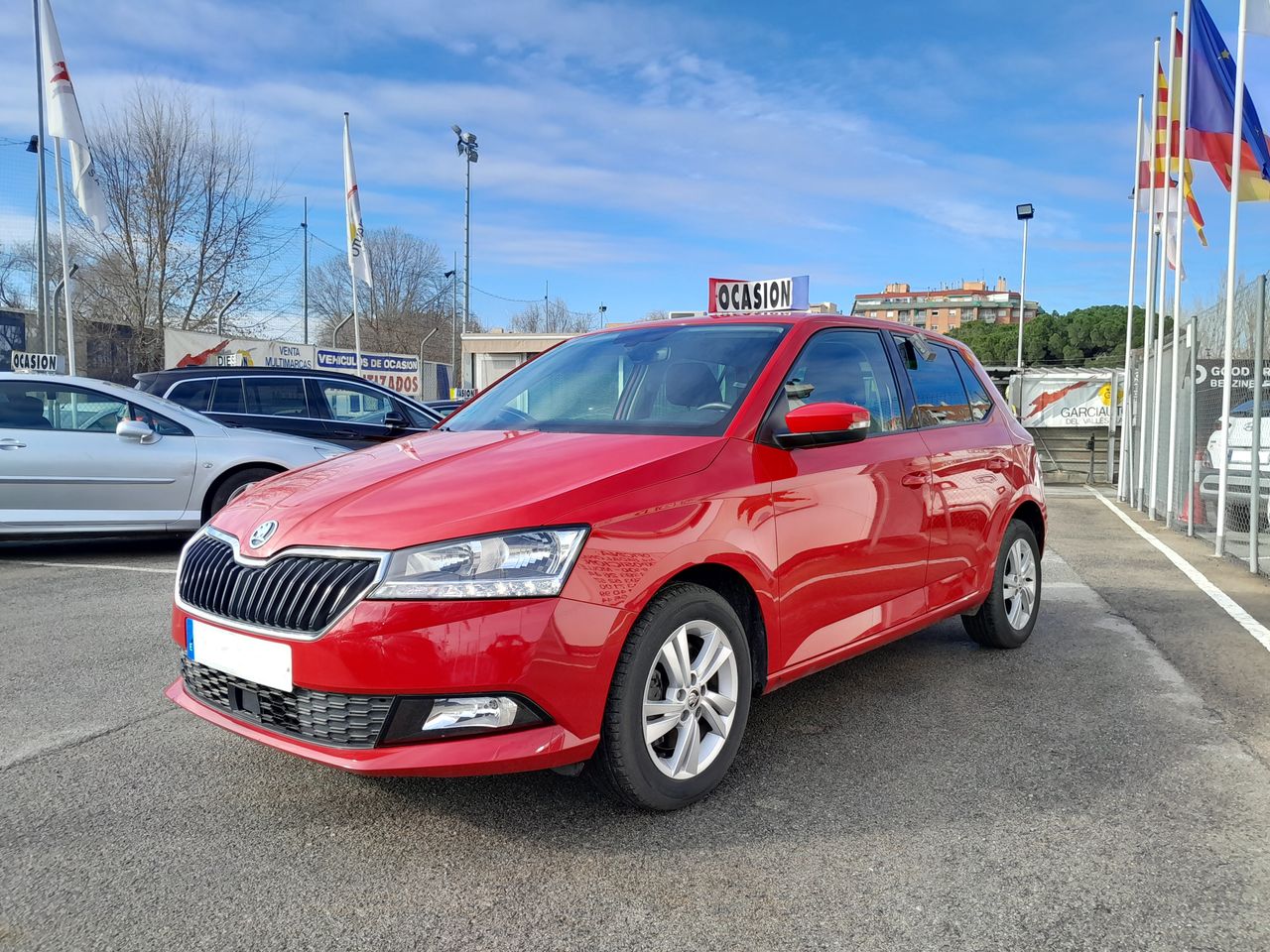 Foto Skoda Fabia 17