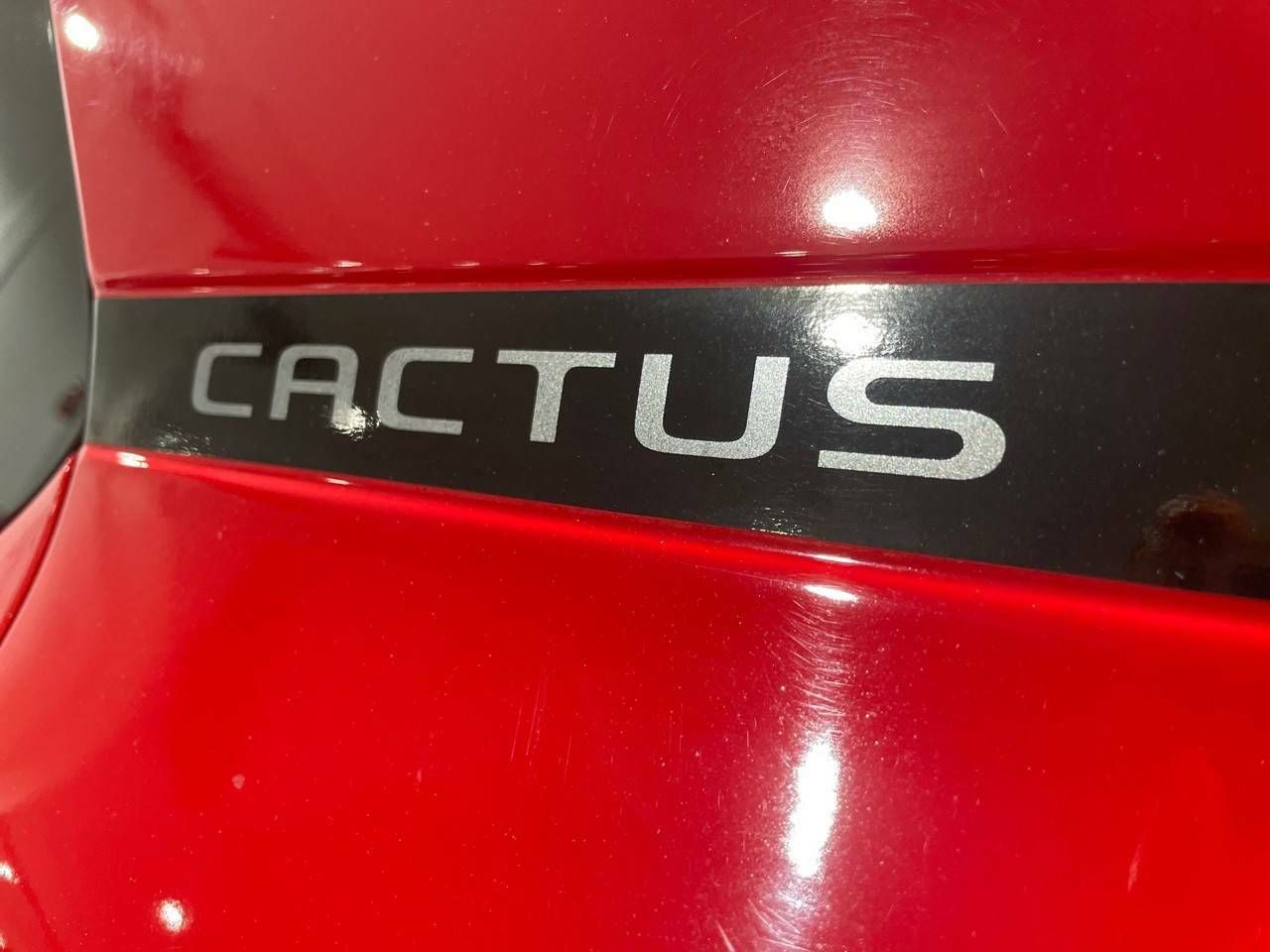 Foto Citroën C4 Cactus 12