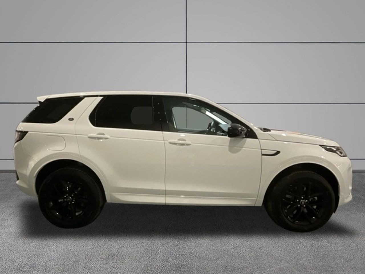 Foto Land-Rover Discovery Sport 3