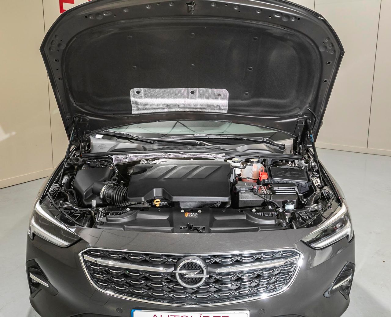 Foto Opel Insignia  33