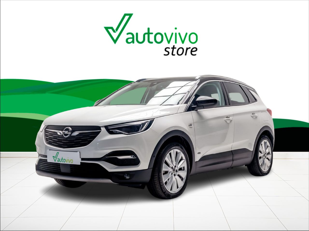 Foto Opel Grandland X 11