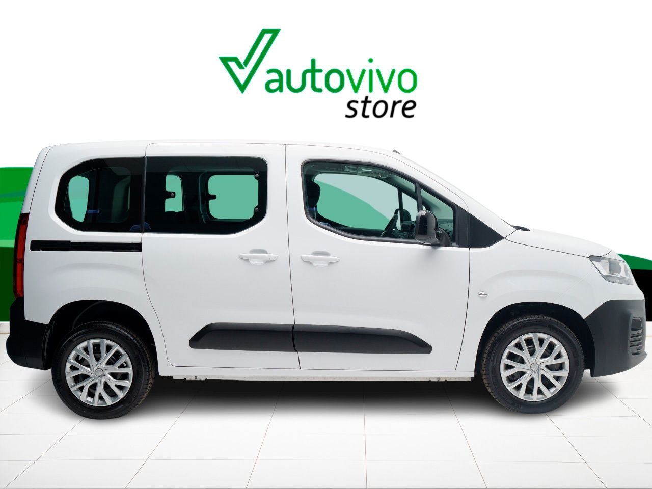 Foto Fiat Doblo 13