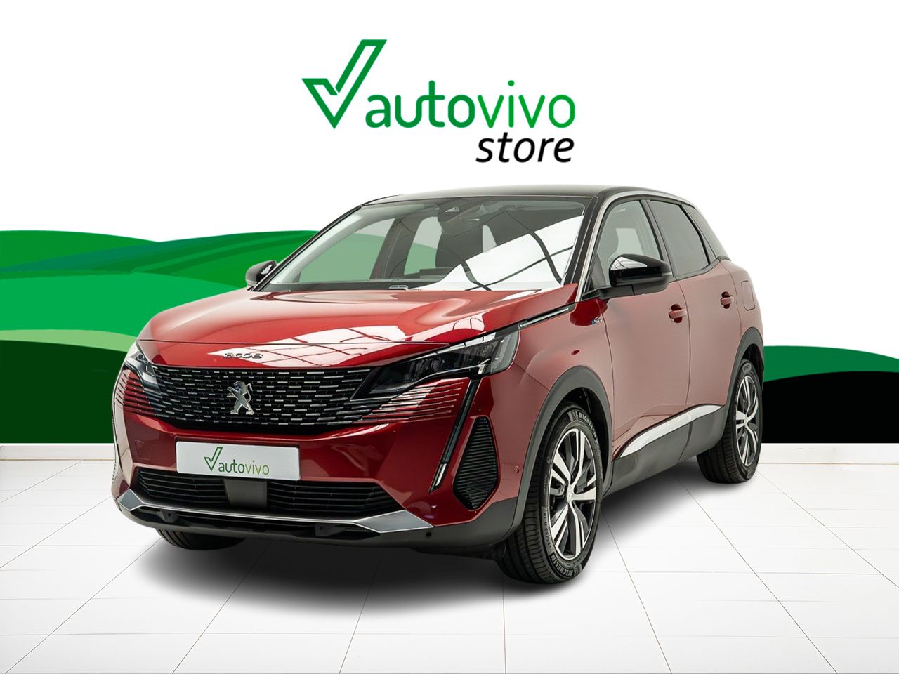 Foto Peugeot 3008 11