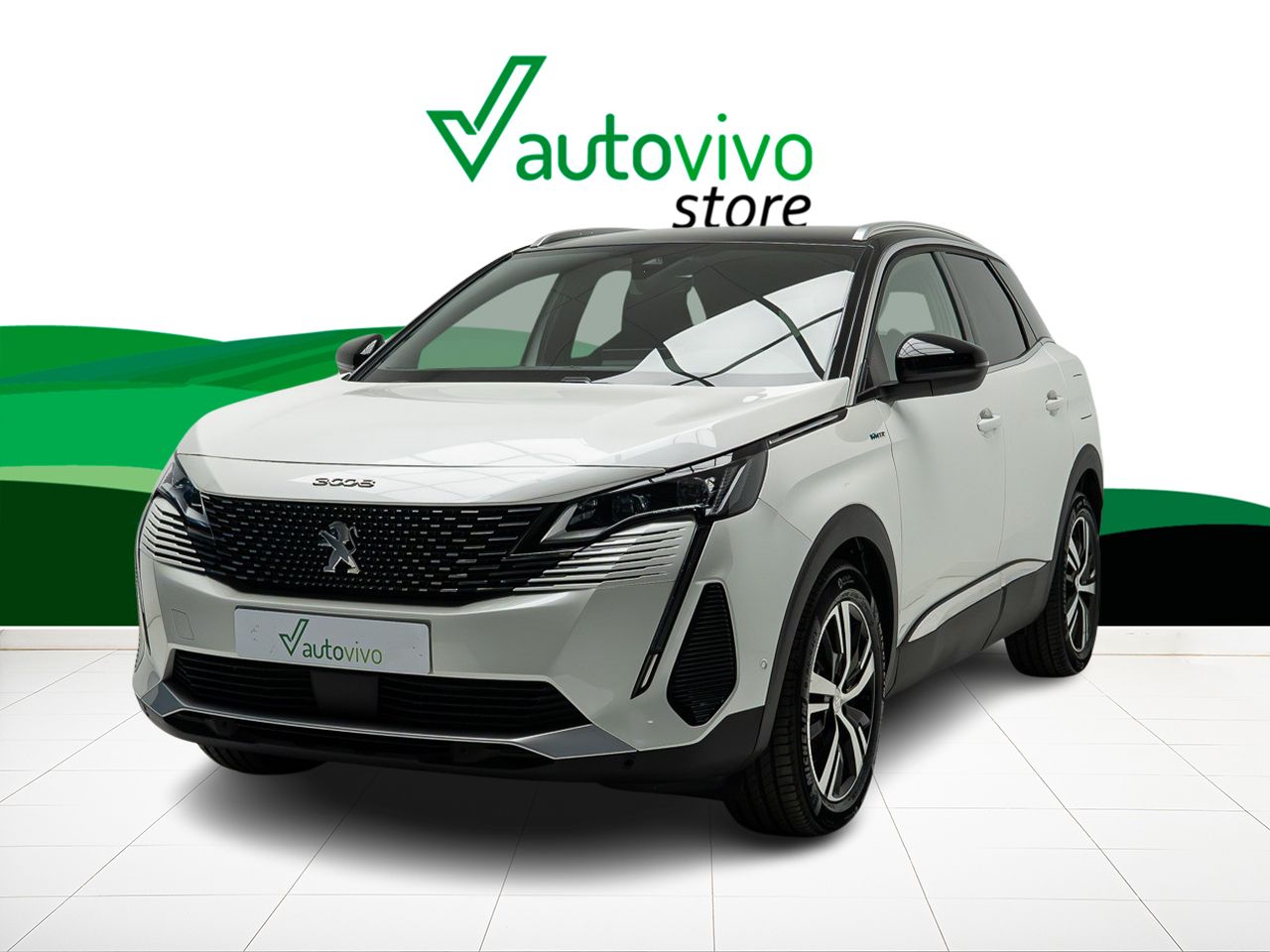 Foto Peugeot 3008 11