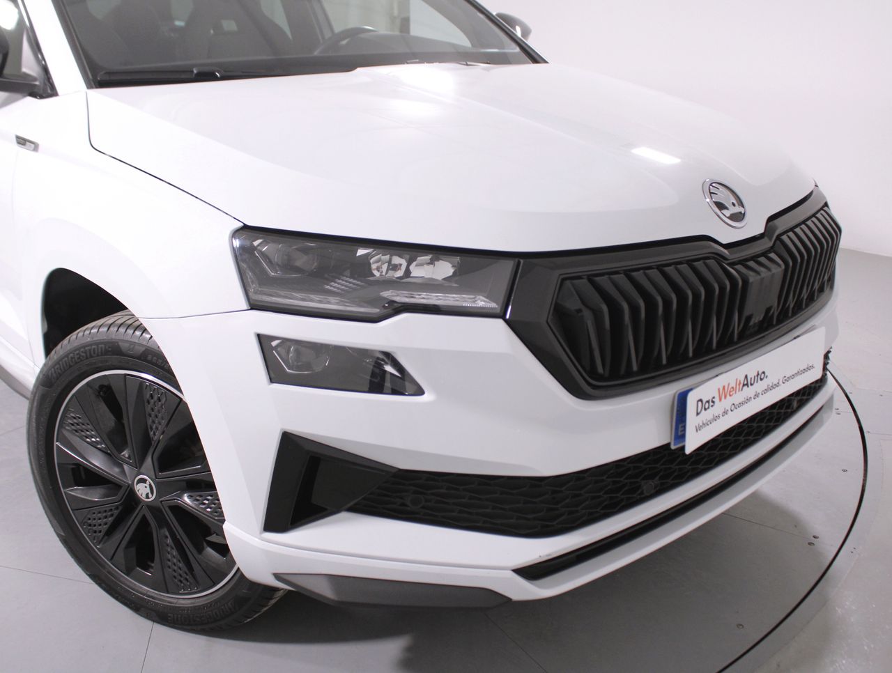 Foto Skoda Karoq 19