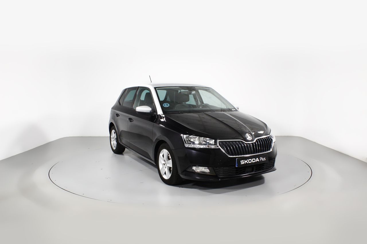 Foto Skoda Fabia 1