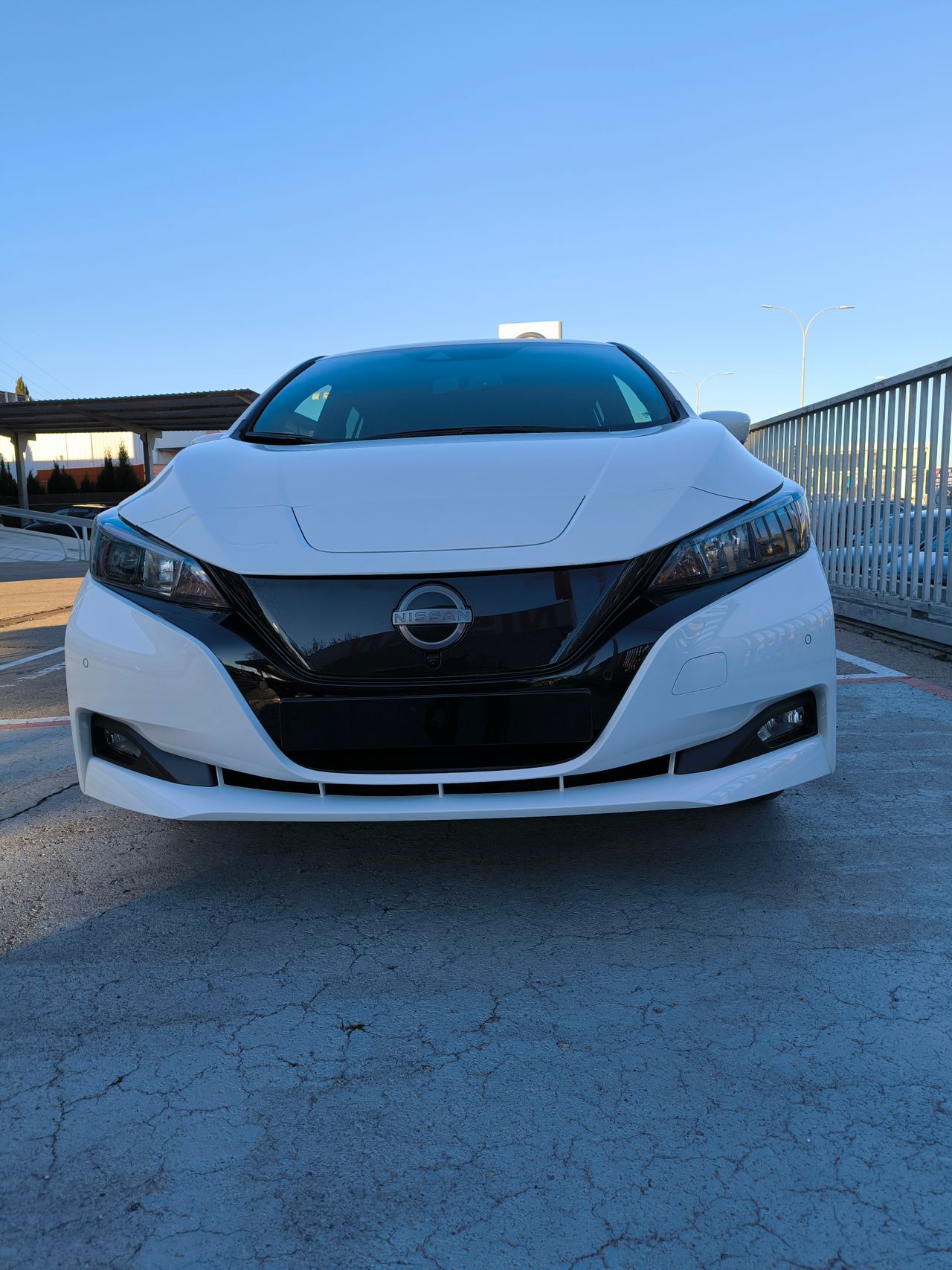 Foto Nissan Leaf 4