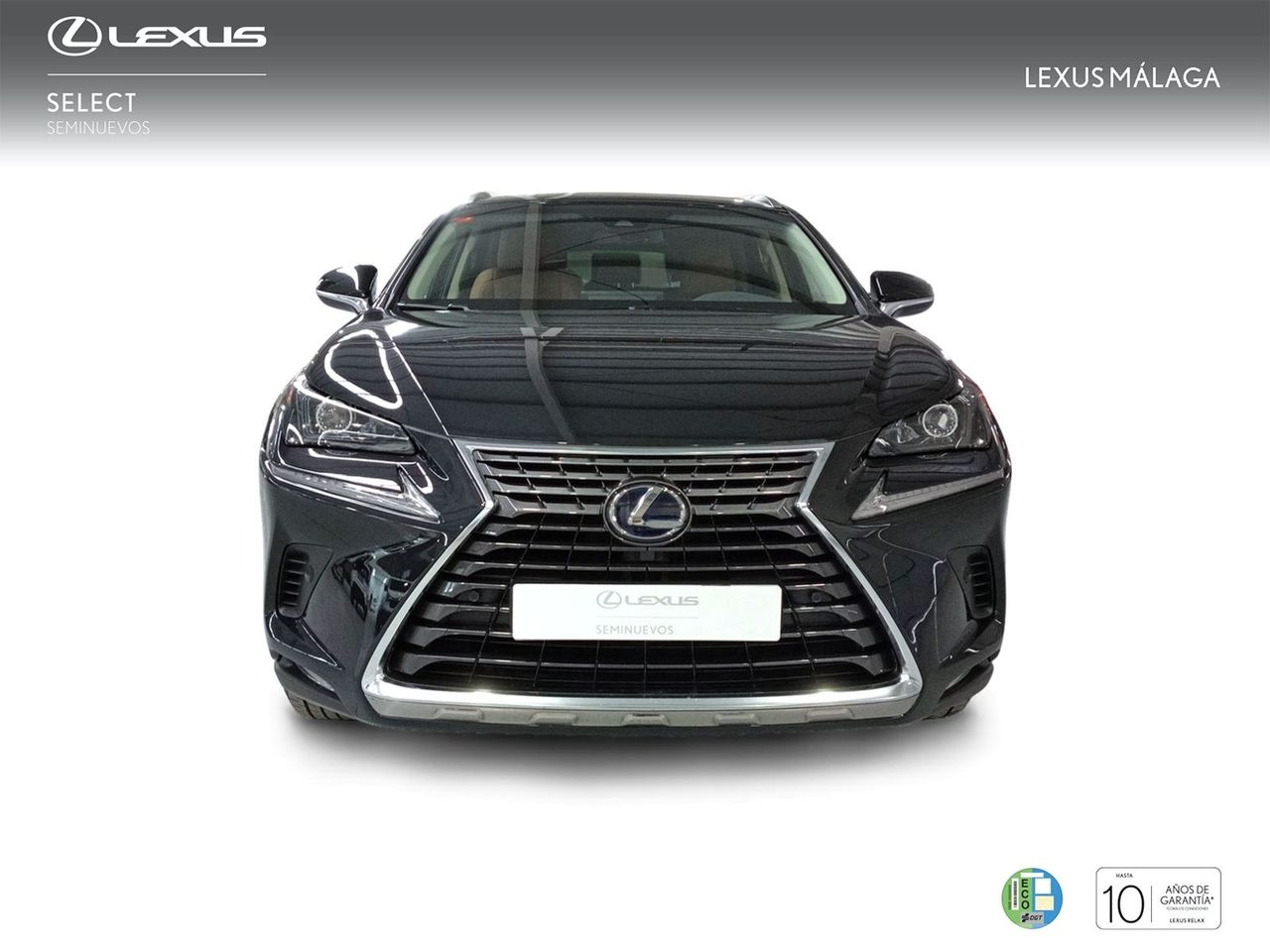 Foto Lexus NX 5