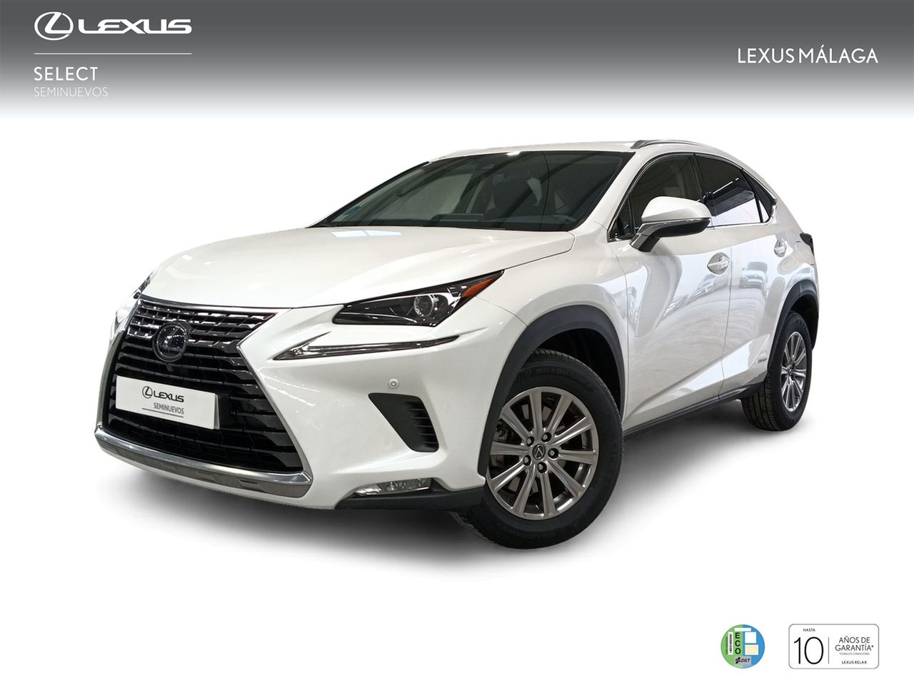 Foto Lexus NX 1