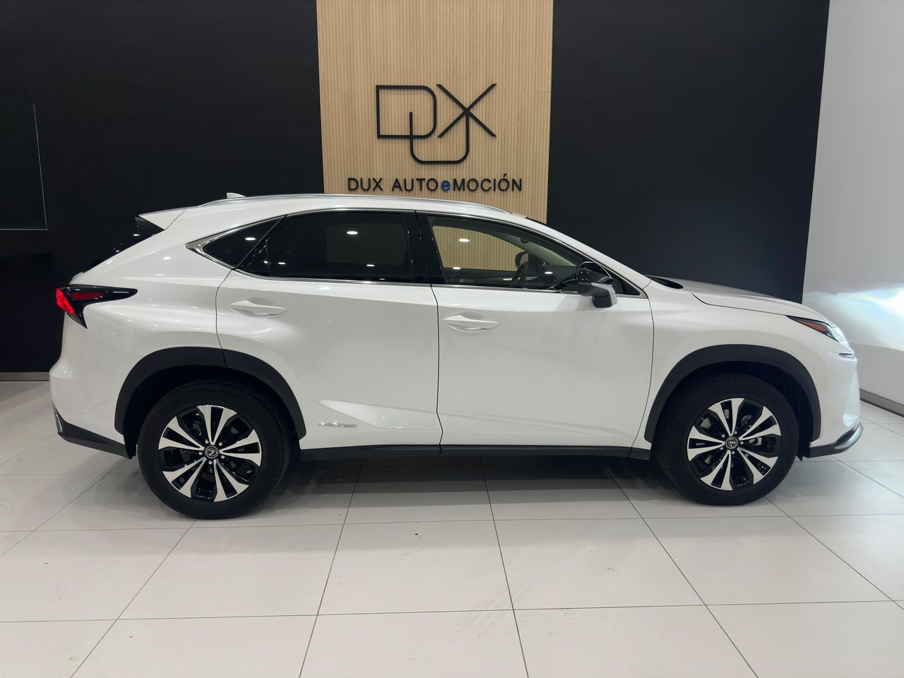 Foto Lexus NX 4