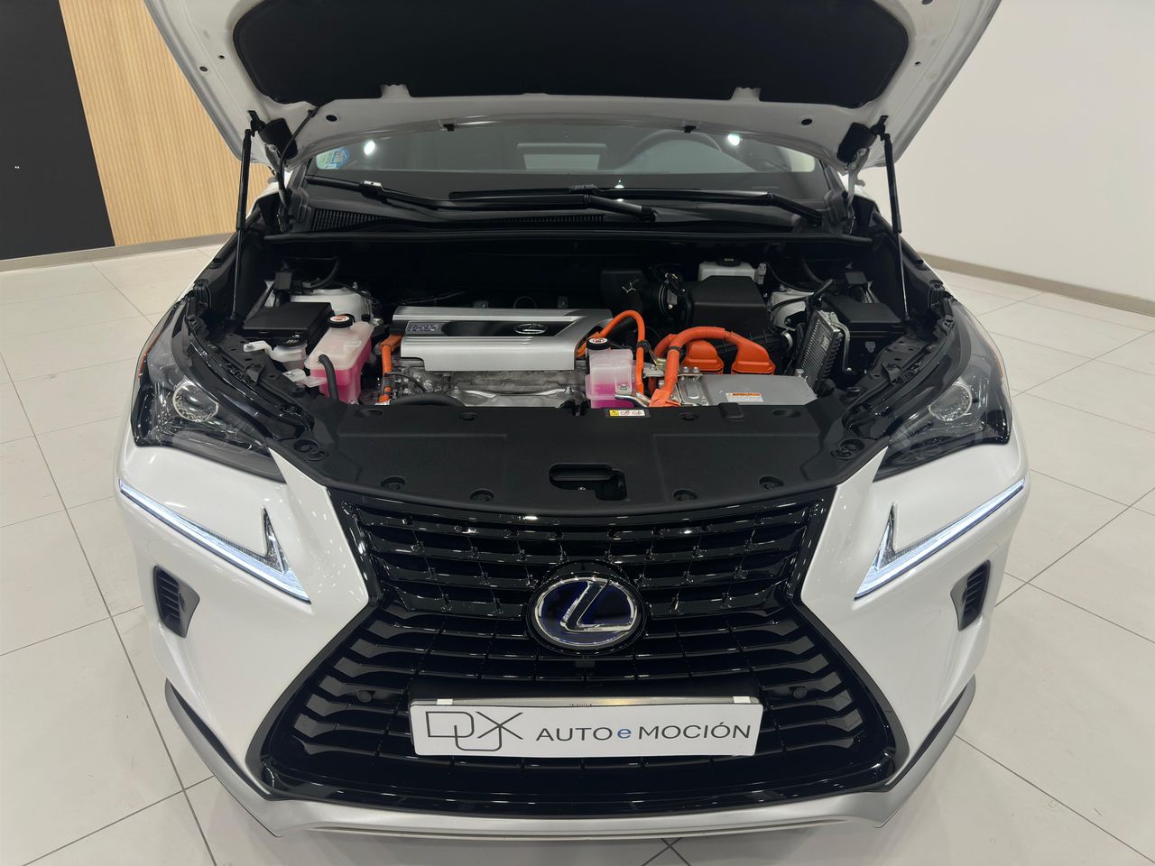 Foto Lexus NX 5