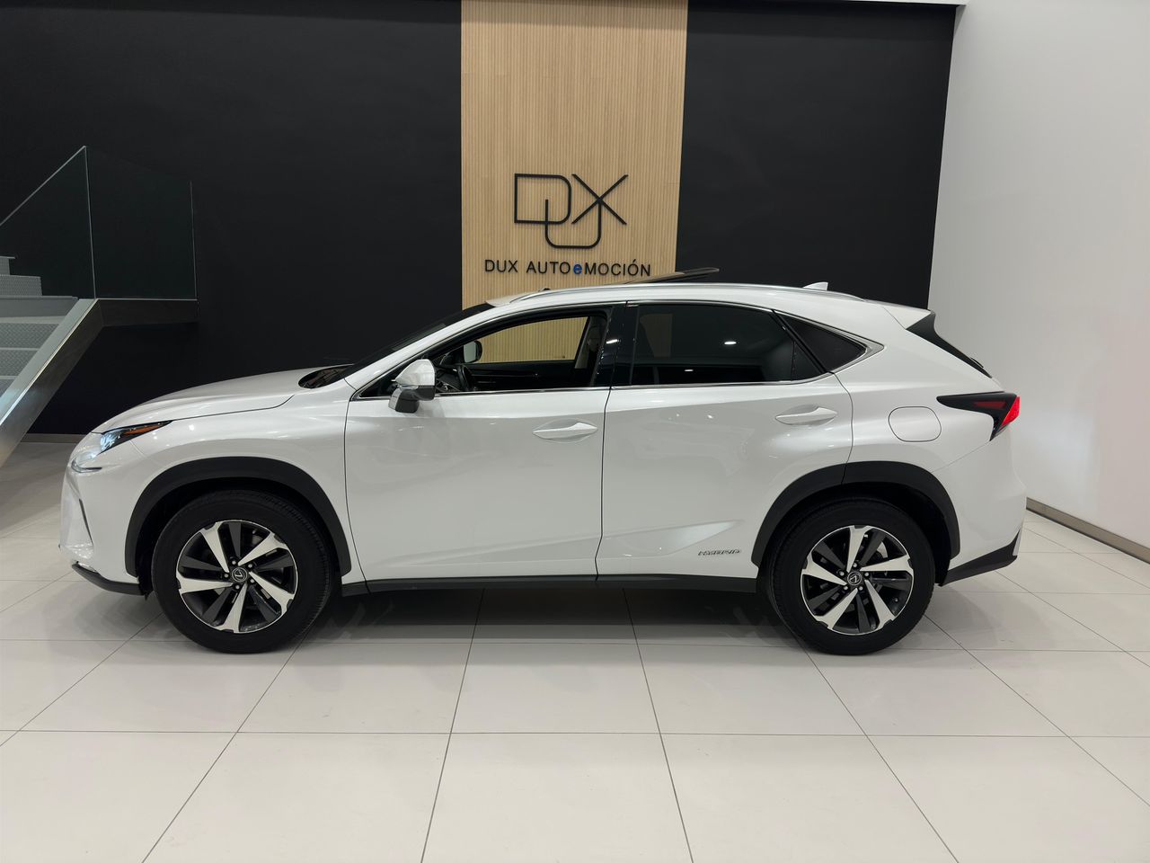 Foto Lexus NX 6