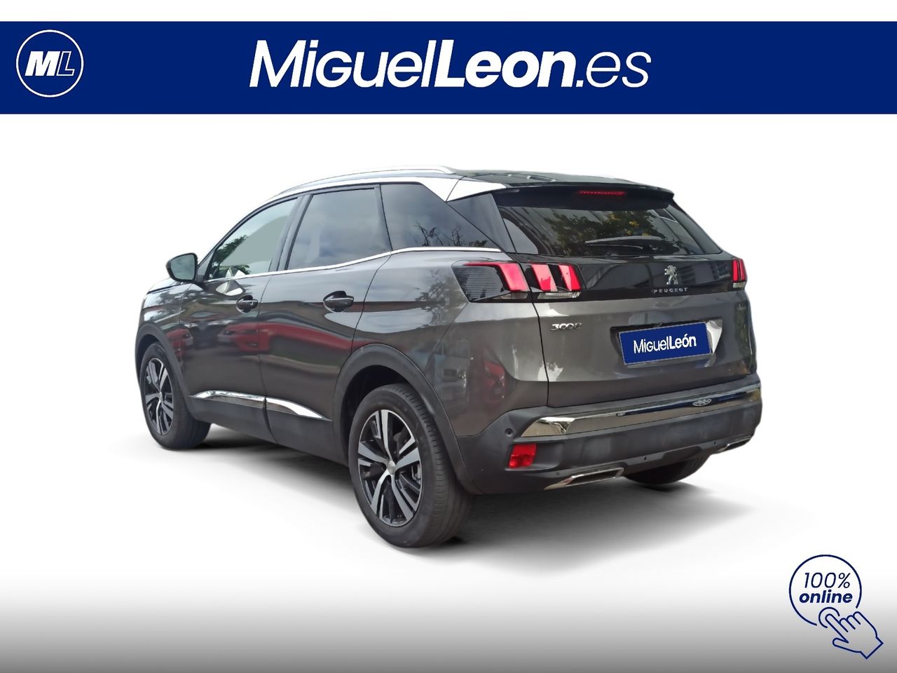 Foto Peugeot 3008 4