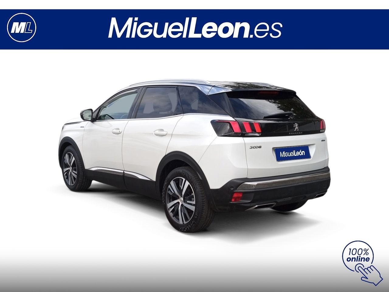 Foto Peugeot 3008 4