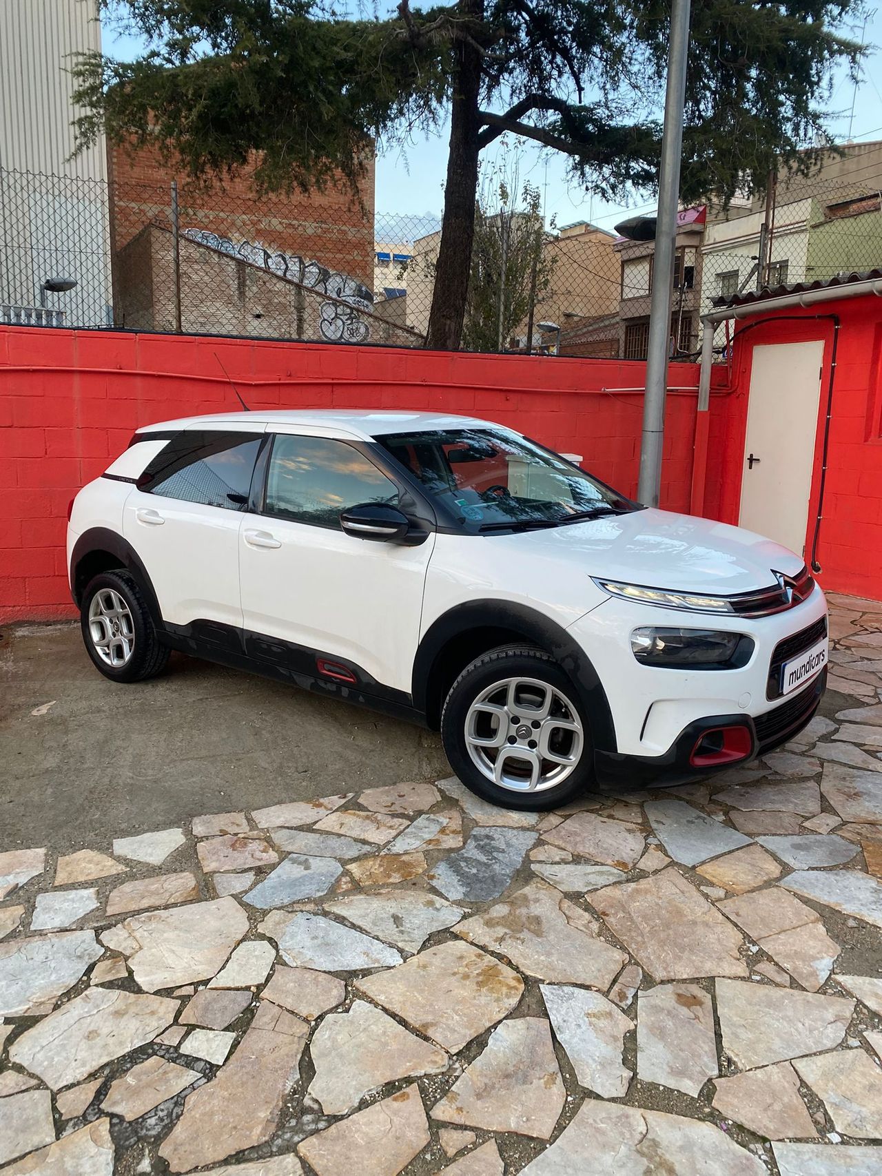 Foto Citroën C4 Cactus 4