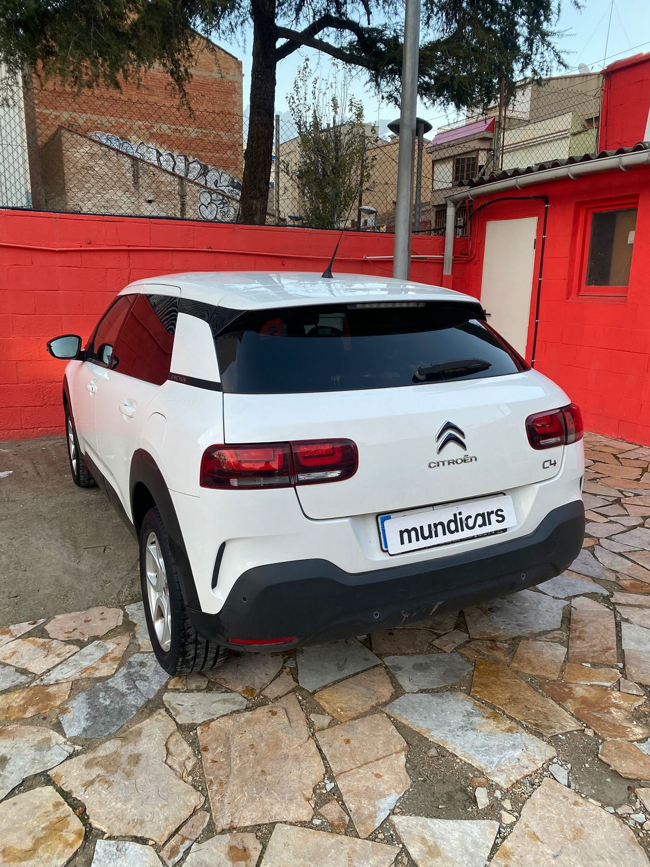 Foto Citroën C4 Cactus 8