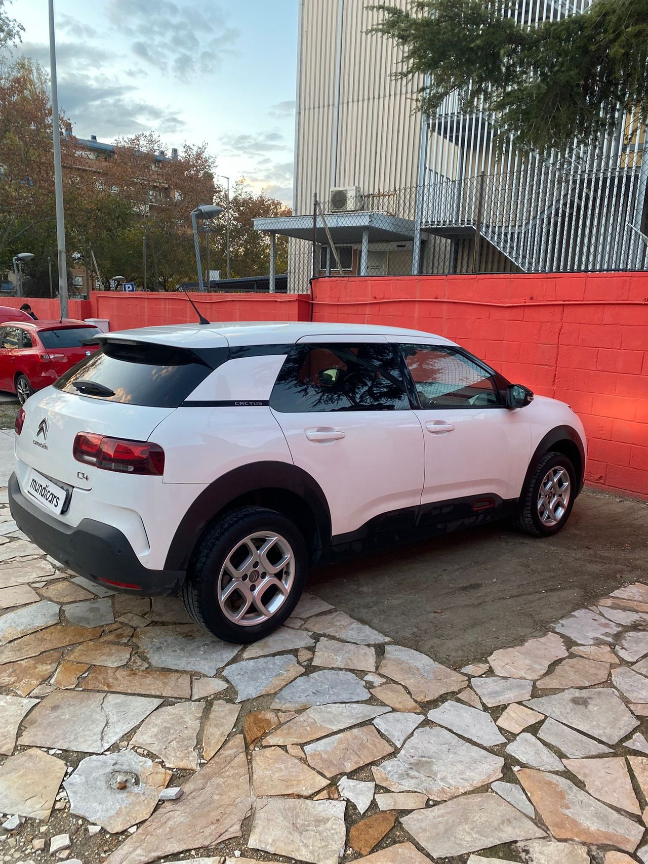 Foto Citroën C4 Cactus 12