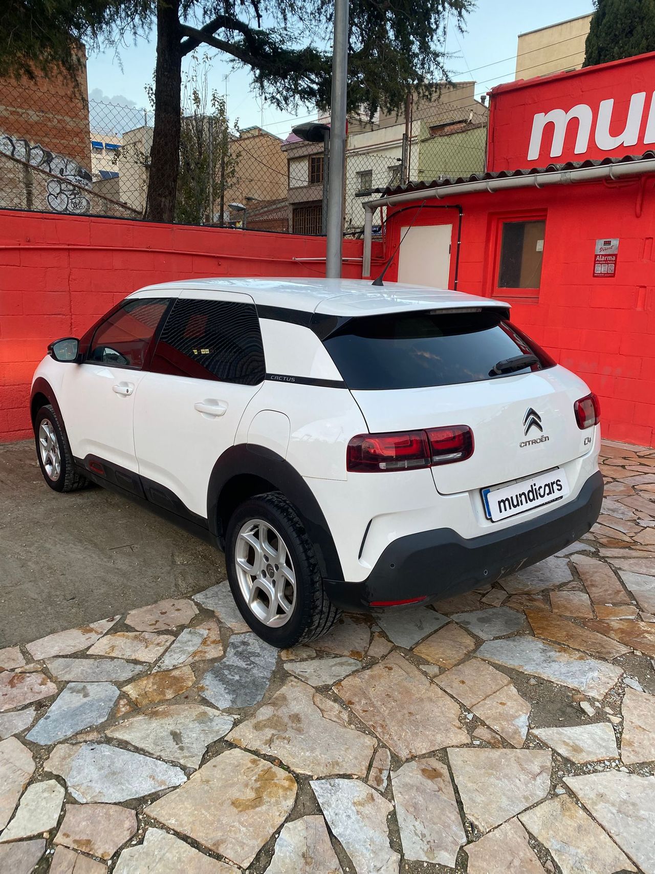 Foto Citroën C4 Cactus 13