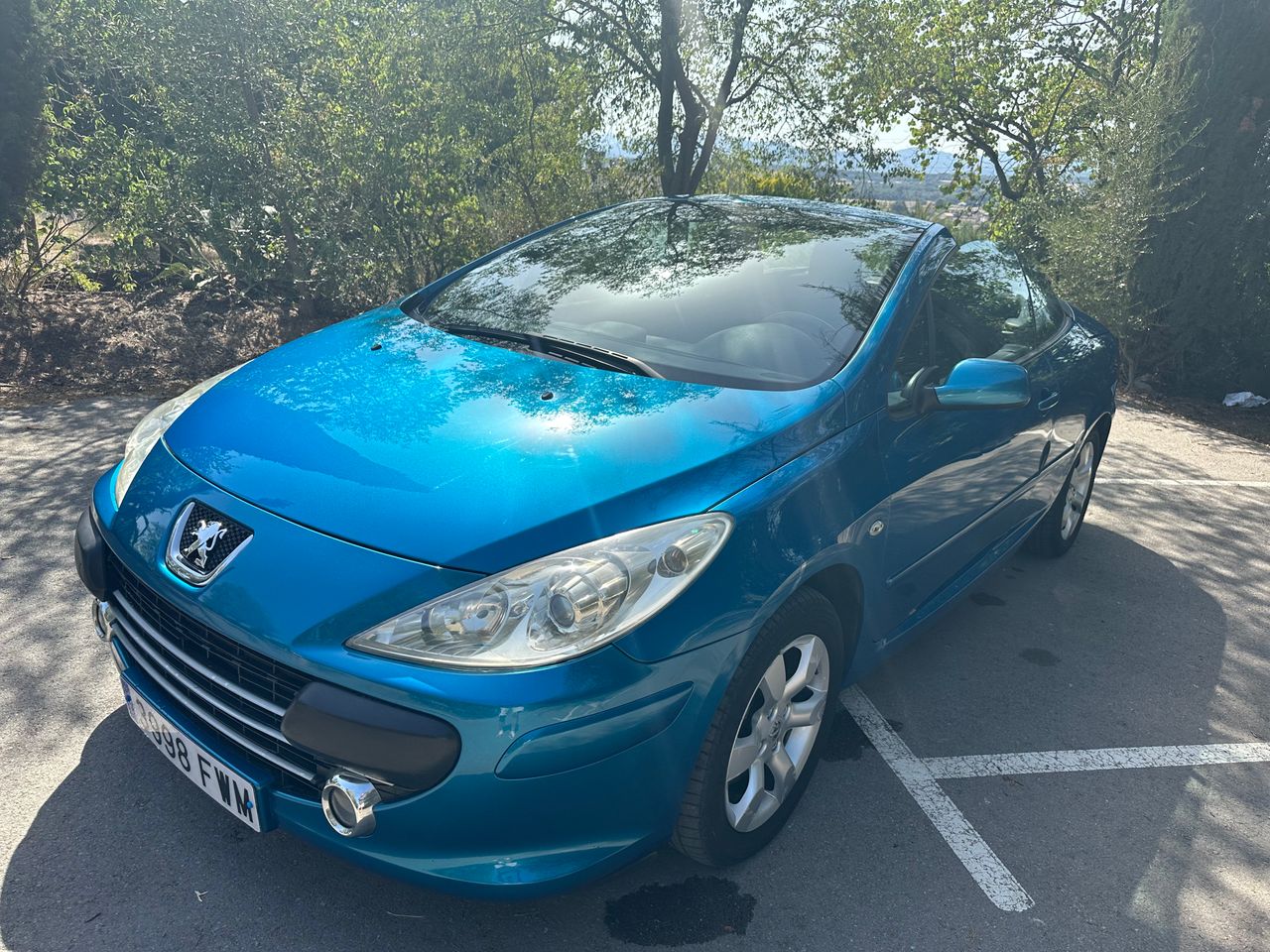 Foto Peugeot 307 CC 10