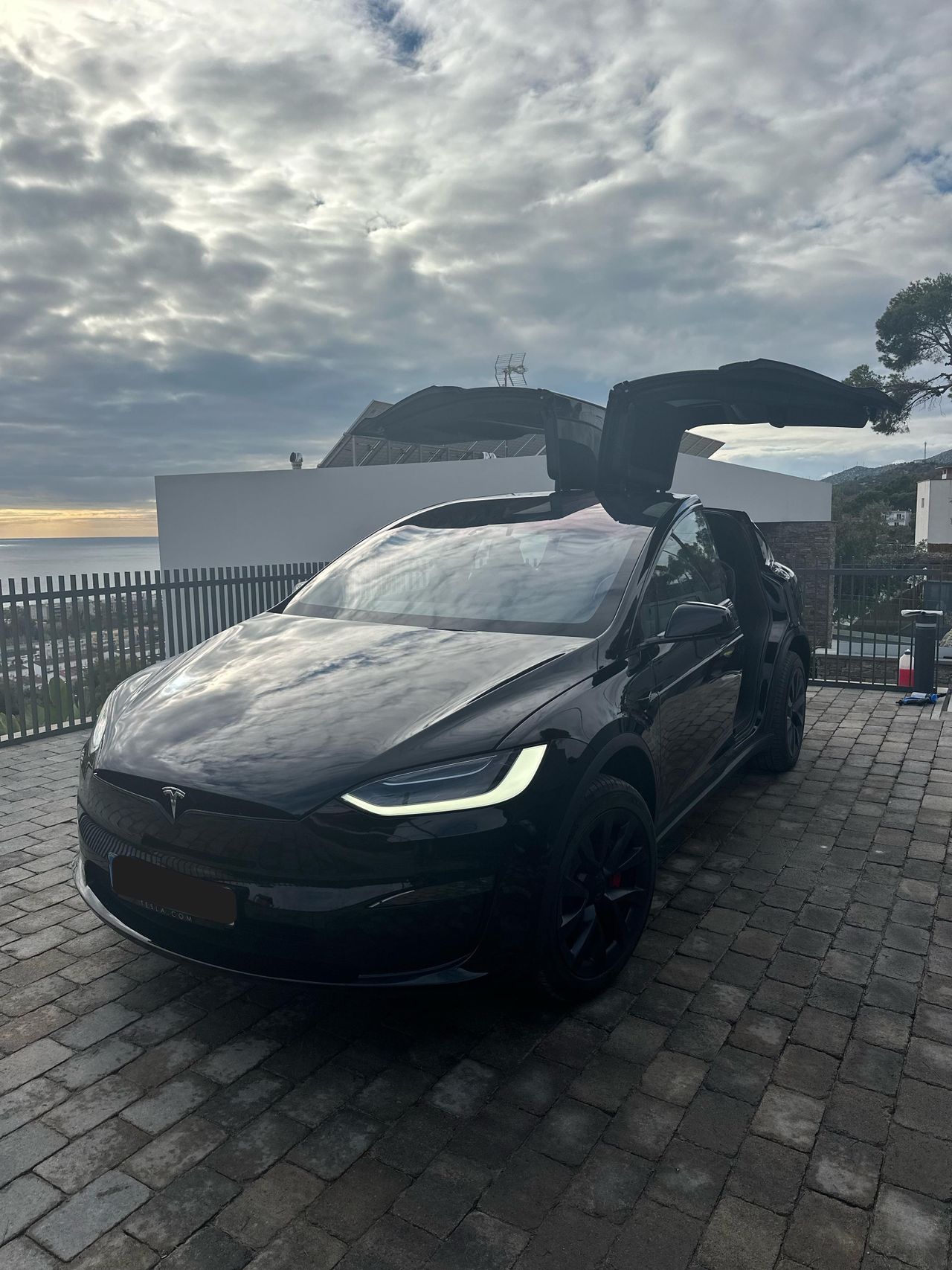 Foto Tesla Model X 1
