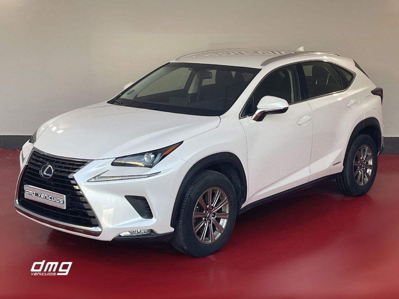 Foto Lexus NX 4