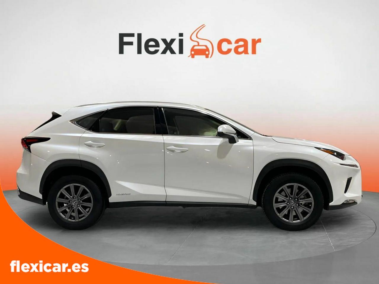 Foto Lexus NX 5