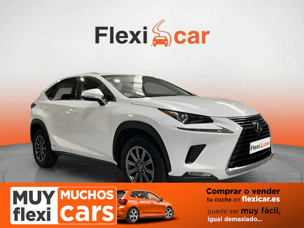 Foto Lexus NX 1