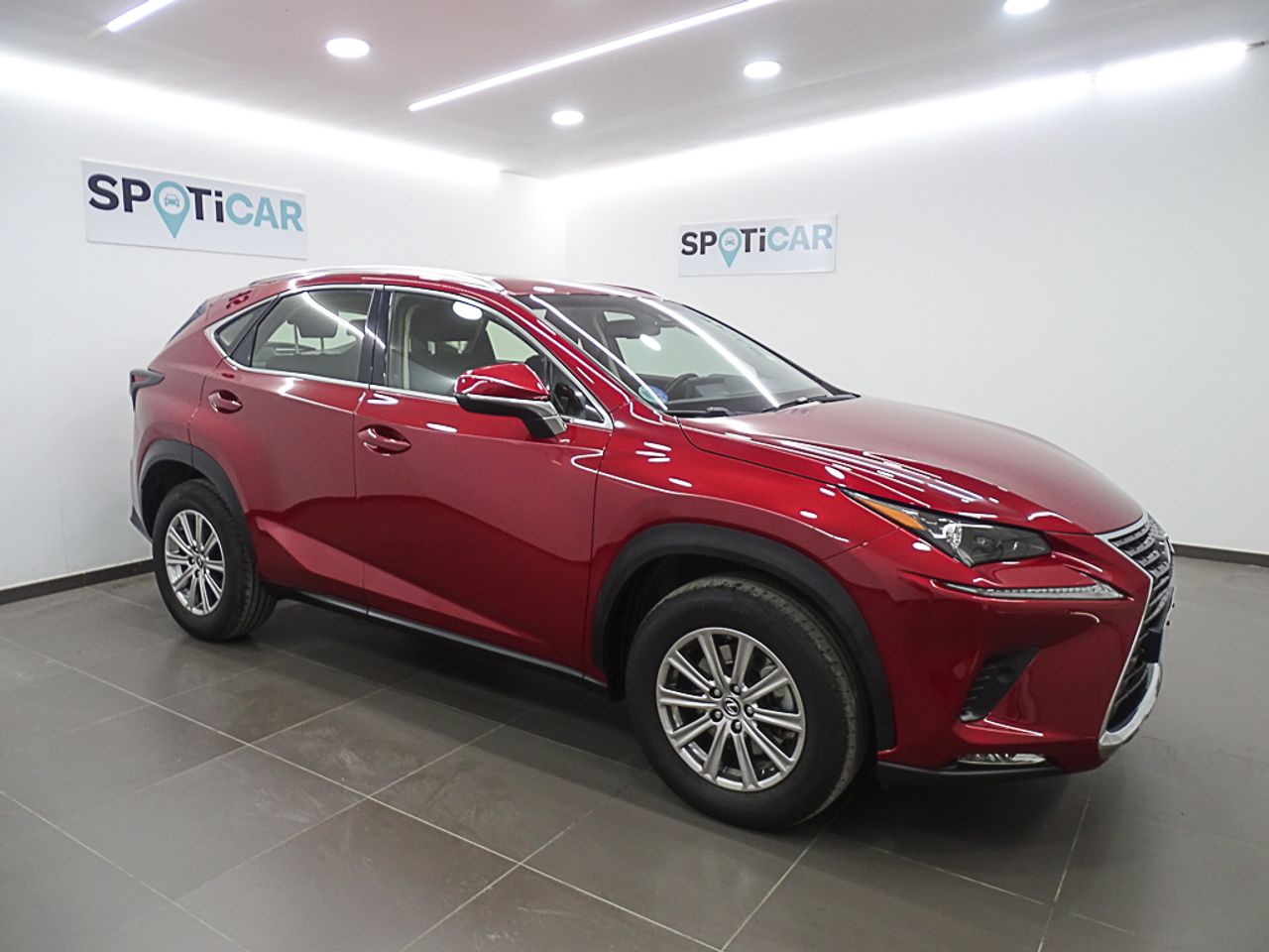 Foto Lexus NX 16