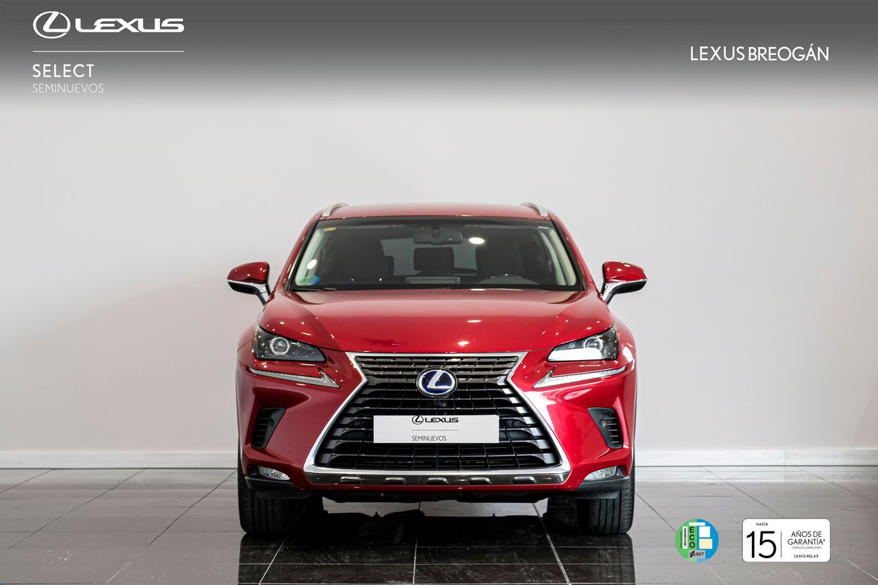 Foto Lexus NX 4