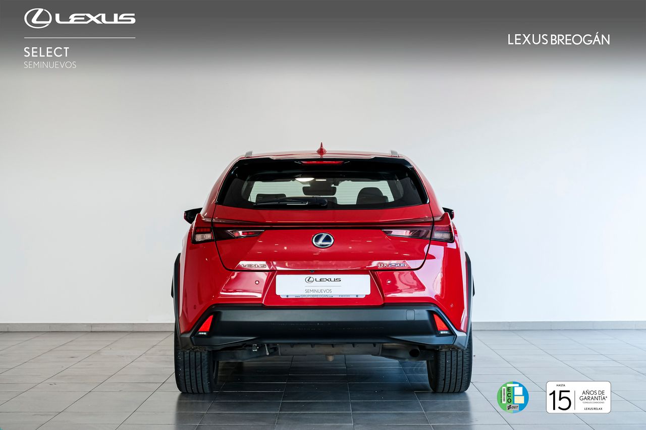 Foto Lexus UX 4