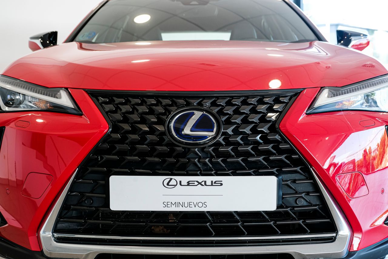 Foto Lexus UX 6