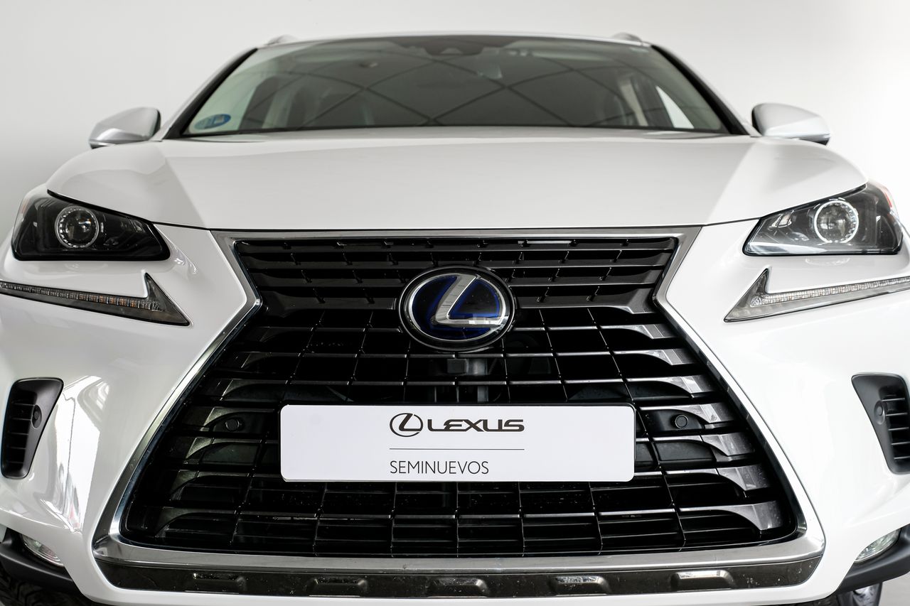 Foto Lexus NX 8