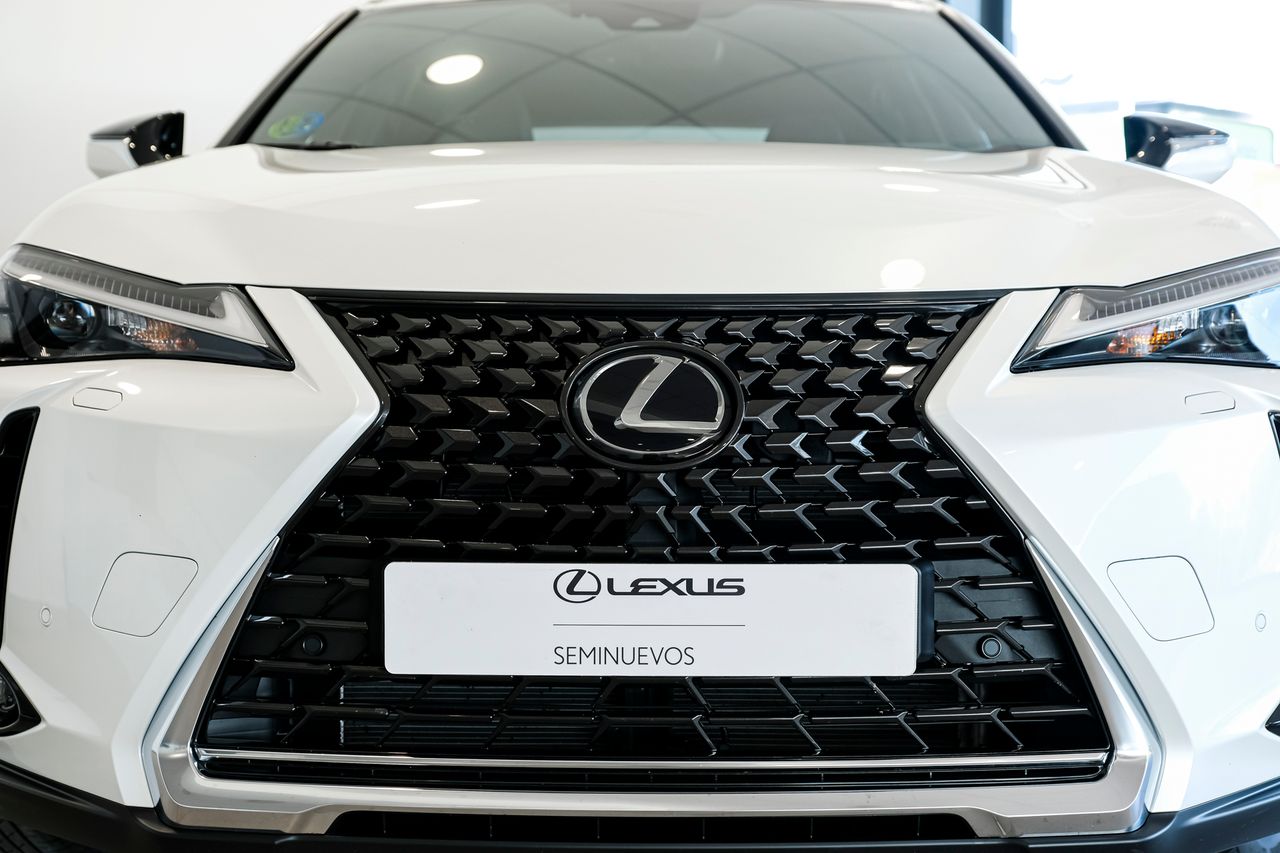 Foto Lexus UX 6