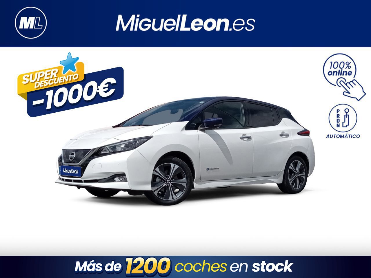 Foto Nissan Leaf 1