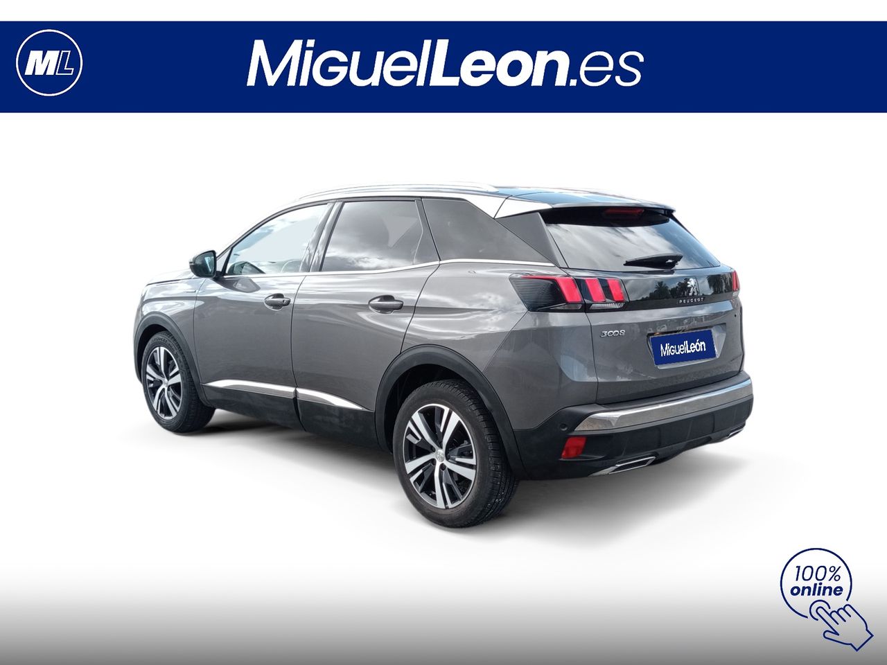 Foto Peugeot 3008 4