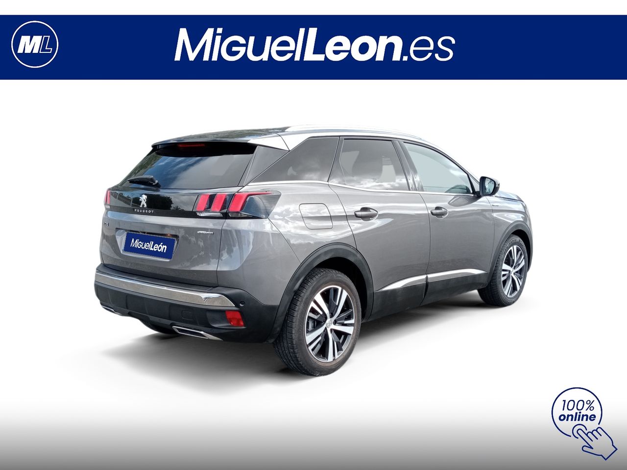 Foto Peugeot 3008 5